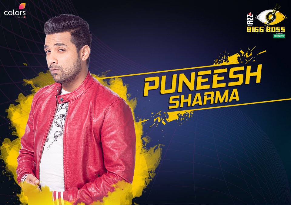 Bigg Boss 11: Who is Puneesh Sharma? Know About His Profile And Background Bigg Boss 11: Who is Puneesh Sharma? Know About His Profile And Background