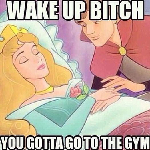 18 Hilarious Gym  Workout Images or Quotes Guaranteed to Make You Laugh! Have A Look
