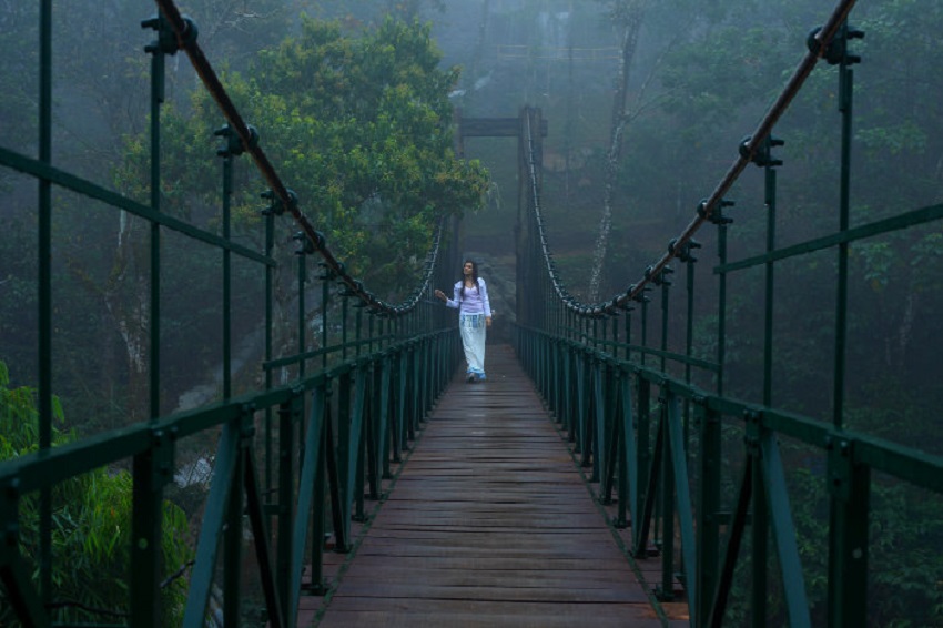 Wayanad Hill Station