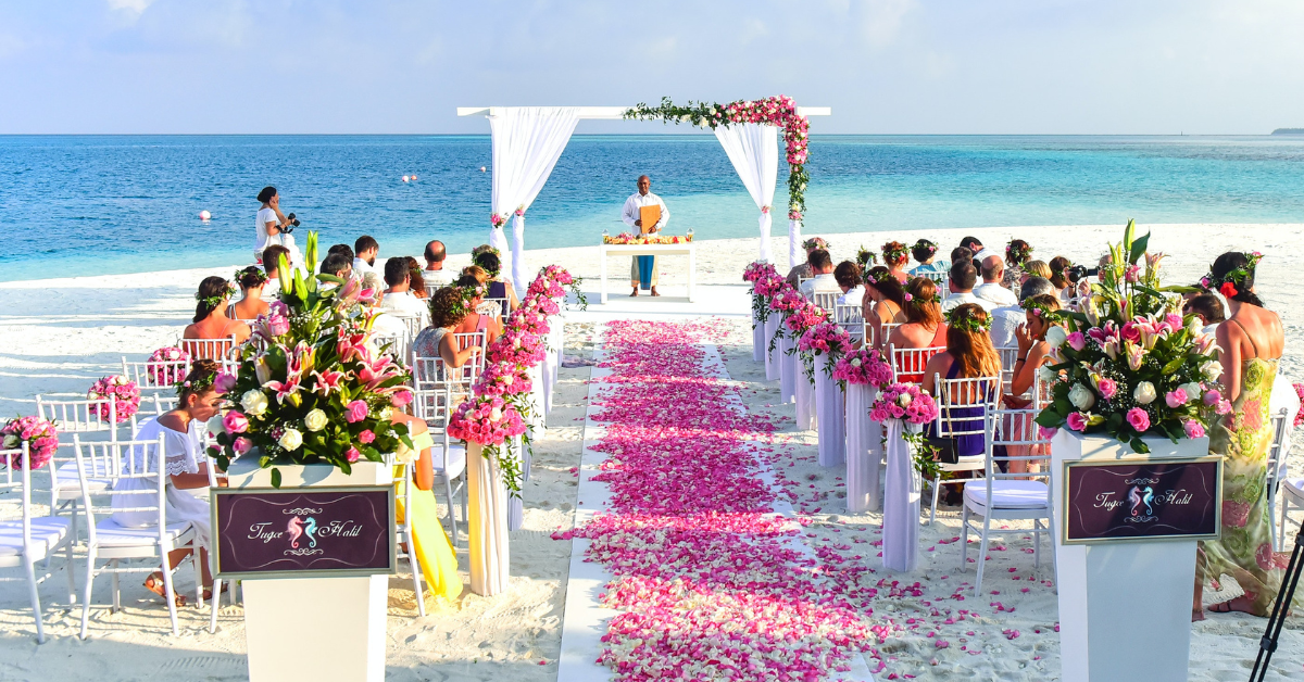 Capturing the Joy and Memories of Your Big Day | Wedding Special
